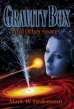 Cover of the book Gravity Box and Other Spaces by James L. Wilber, Shade OfRoses, Stephan Michael Loy