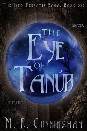 Cover of the book The Eye of Tanub by Julie Wetzel