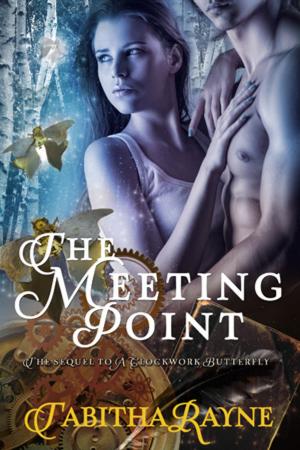 Cover of the book The Meeting Point by Penelope L'Amoreaux