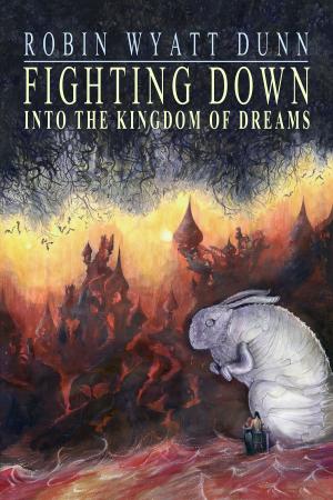 Book cover of Fighting Down into the Kingdom of Dreams