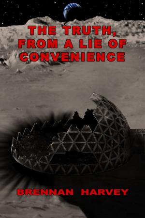 Book cover of The Truth, From a Lie of Convenience