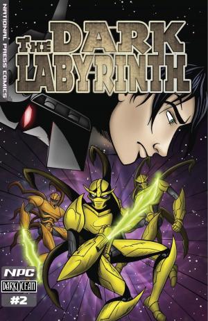 Cover of the book Dark Labyrinth #2 by Jim Cline