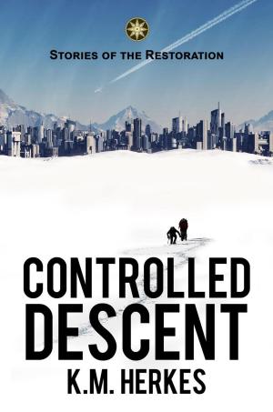Cover of the book Controlled Descent by Jamie Friesen