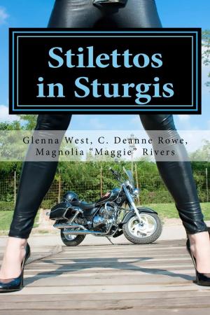 Book cover of Stilettos in Sturgis