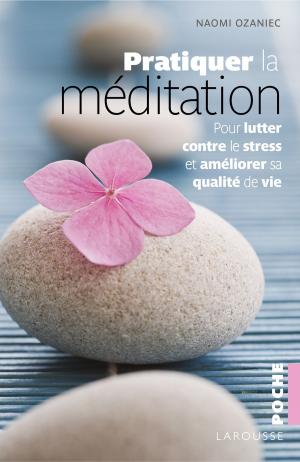 Book cover of Pratiquer la méditation