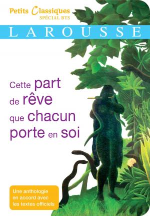 Cover of the book Cette part de rêve que chacun porte en soi by Martina Krcmar