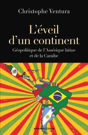 Cover of the book L'éveil d'un continent by André Gaudreault, Philippe Marion