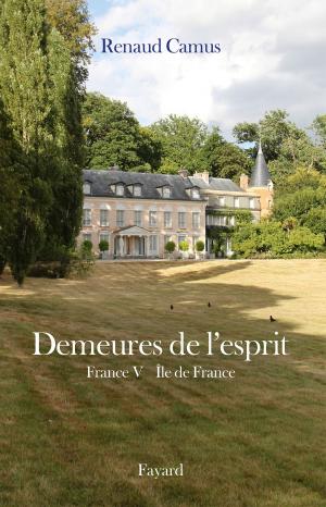 Cover of the book Demeures de l'esprit X France V Ile de France by Madeleine Chapsal