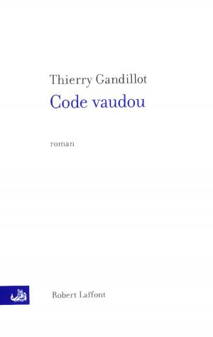 Cover of the book Code Vaudou by Steve SEM-SANDBERG