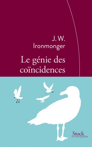 Book cover of Le génie des coïncidences