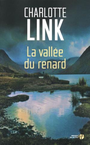 Cover of the book La Vallée du Renard by Alain DUHAMEL