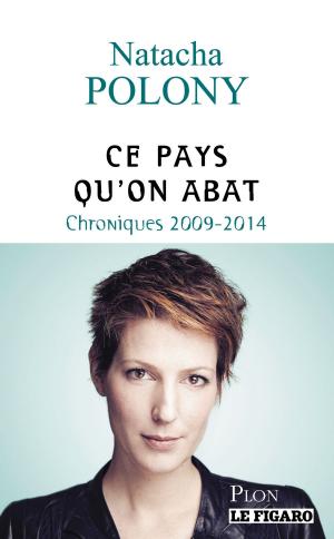 Cover of the book Ce pays qu'on abat by Georges SIMENON