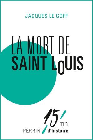 Cover of the book La mort de Saint Louis by Françoise BOURDIN