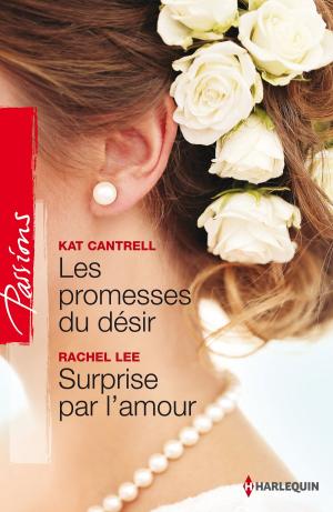 bigCover of the book Les promesses du désir - Surprise par l'amour by 