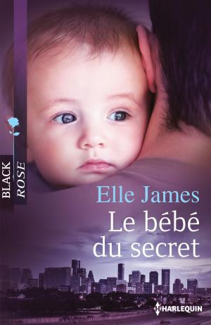 Cover of the book Le bébé du secret by Joanne Rock