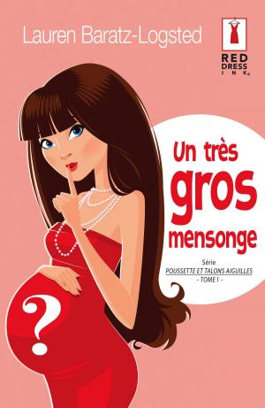 Cover of the book Un très gros mensonge by Grace Brunelle