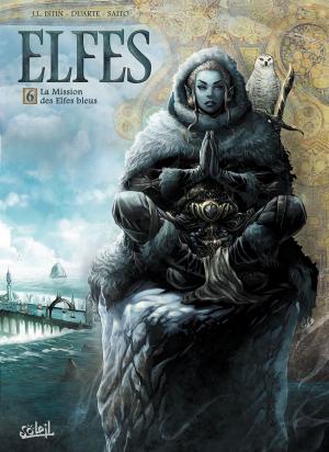 Cover of the book Elfes T06 by Yves Swolfs