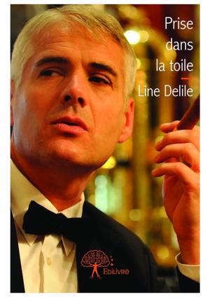 Cover of the book Prise dans la toile by Clément Cahagne