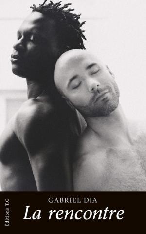 Cover of the book La rencontre (roman gay) by Jean-Paul Sermonte