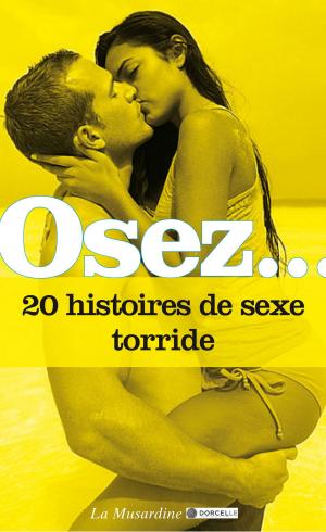Cover of the book Osez 20 histoires de sexe torride by Bruno H loison