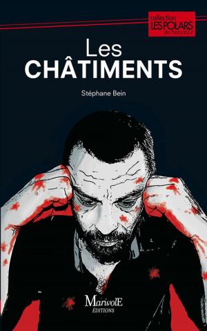 Cover of the book Les Châtiments by Guillaume Trotignon