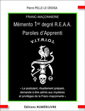 Cover of the book Mémento 1e degré R.E.A.A. Paroles d'Apprenti by Jean-Marc Vivenza