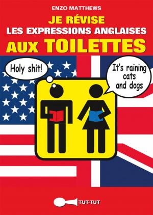 Cover of the book Je révise les expressions anglaises aux toilettes by Sophie Henrionnet