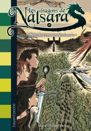 Cover of the book Les dragons de Nalsara, Tome 20 by Nicolas de Hirsching