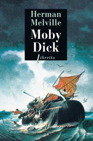 Cover of the book Moby Dick by Richard Lesclide