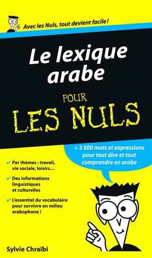 Cover of the book Lexique arabe Pour les Nuls by Gérard de CORTANZE
