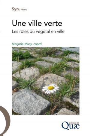 Cover of the book Une ville verte by Michel Lang, Jacques Lavabre