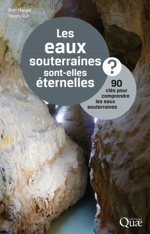 Cover of the book Les eaux souterraines sont-elles éternelles ? by Bernadette Bensaude-Vincent