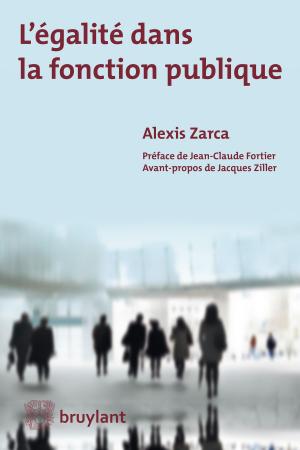 Book cover of L'égalité dans la fonction publique