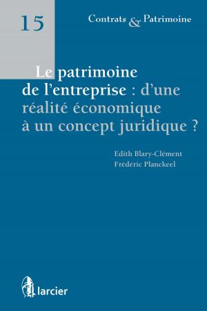 bigCover of the book Le patrimoine de l'entreprise : d'une réalité économique à un concept juridique by 