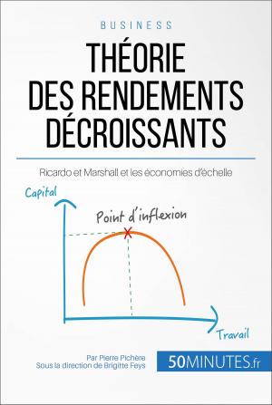 Cover of the book Théorie des rendements décroissants by Bertrand de Witte, 50Minutes.fr