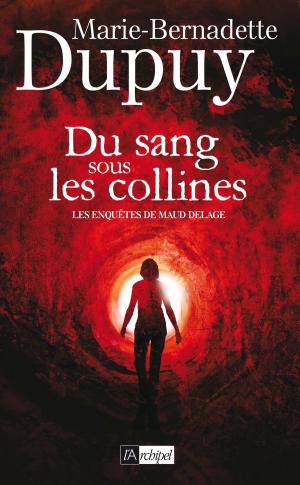 Cover of the book Du sang sous les collines by Gérard Delteil