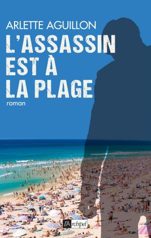 Cover of the book L'assassin est à la plage by Pierre Douglas