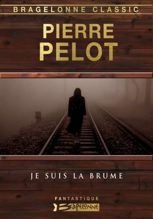 Book cover of Je suis la brume