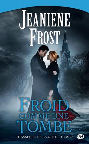 Cover of the book Froid comme une tombe by Joann Ross