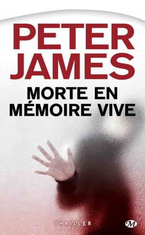 Cover of the book Morte en mémoire vive by Patrick Connelly