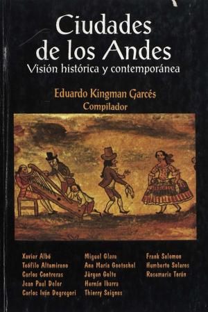 Cover of the book Ciudades de los Andes by Daniel Parodi Revoredo