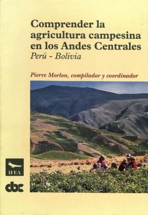 Cover of the book Comprender la agricultura campesina en los Andes Centrales by Jean Guffroy