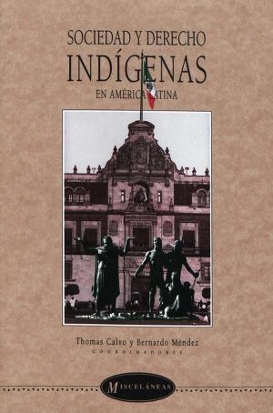 Cover of the book Sociedad y derecho indígenas en América latina by Thomas Calvo, Jean-Pierre Berthe, Águeda Jiménez Pelayo
