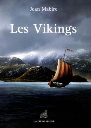 Book cover of Les Vikings