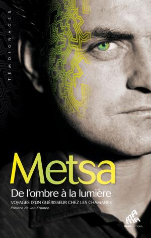 Cover of the book De l'ombre à la lumière by Matthiew Klinck, David Thomas
