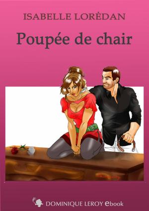 Cover of the book Poupée de Chair by Marie Laurent, Fêteur De Trouble, Noann Lyne, Wen Saint-Clar