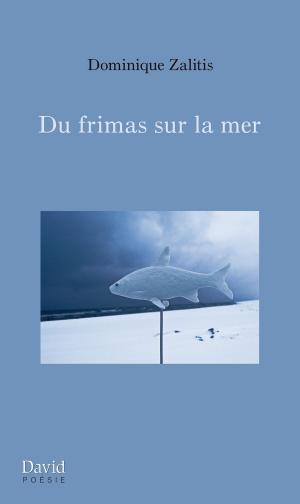 Cover of the book Du frimas sur la mer by Marie-Andrée Donovan