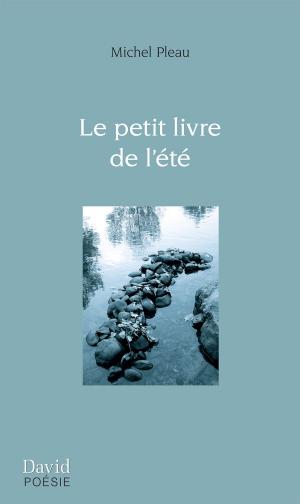 Cover of the book Le petit livre de l’été by Marie-Andrée Donovan