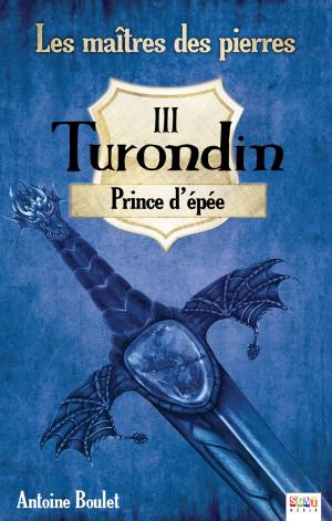 Cover of the book Turondin by Sara Wiseman