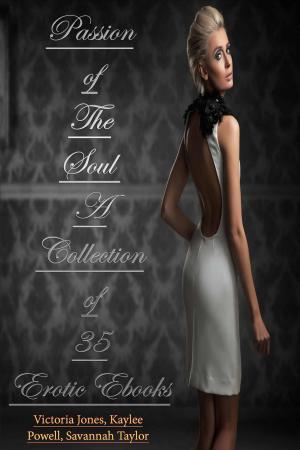 bigCover of the book Passion of The Soul – A Collection of 35 Erotic Ebooks by 